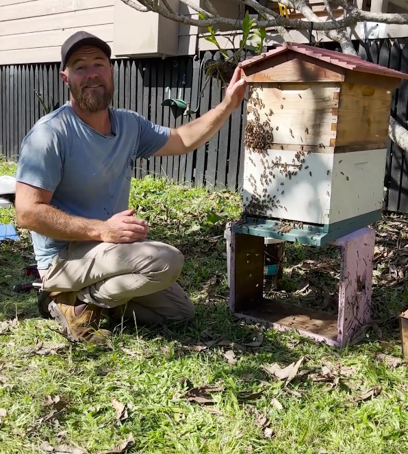 Pete bees